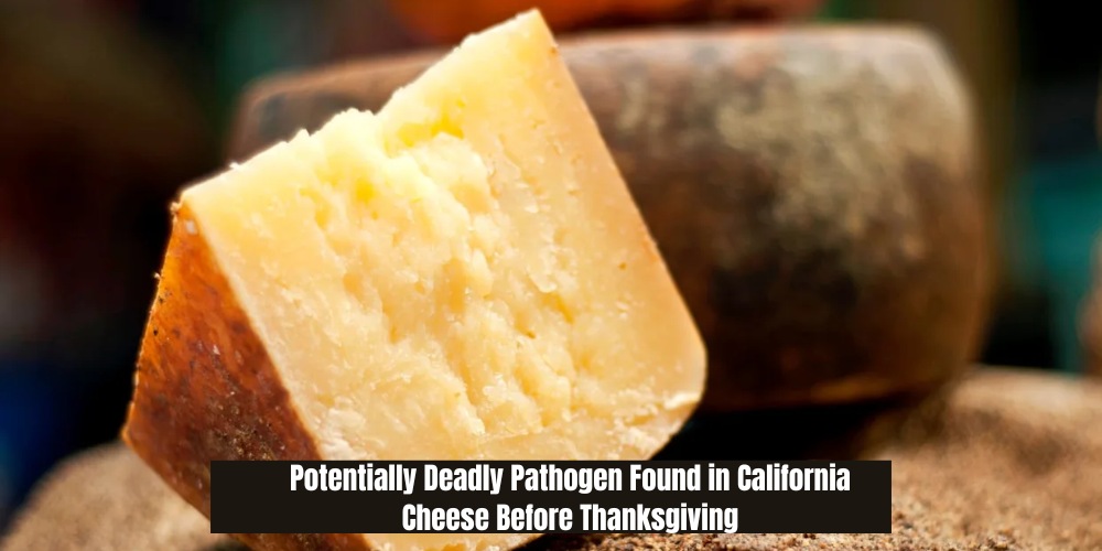 Potentially Deadly Pathogen Found in California Cheese Before Thanksgiving. Check your Fridge.
