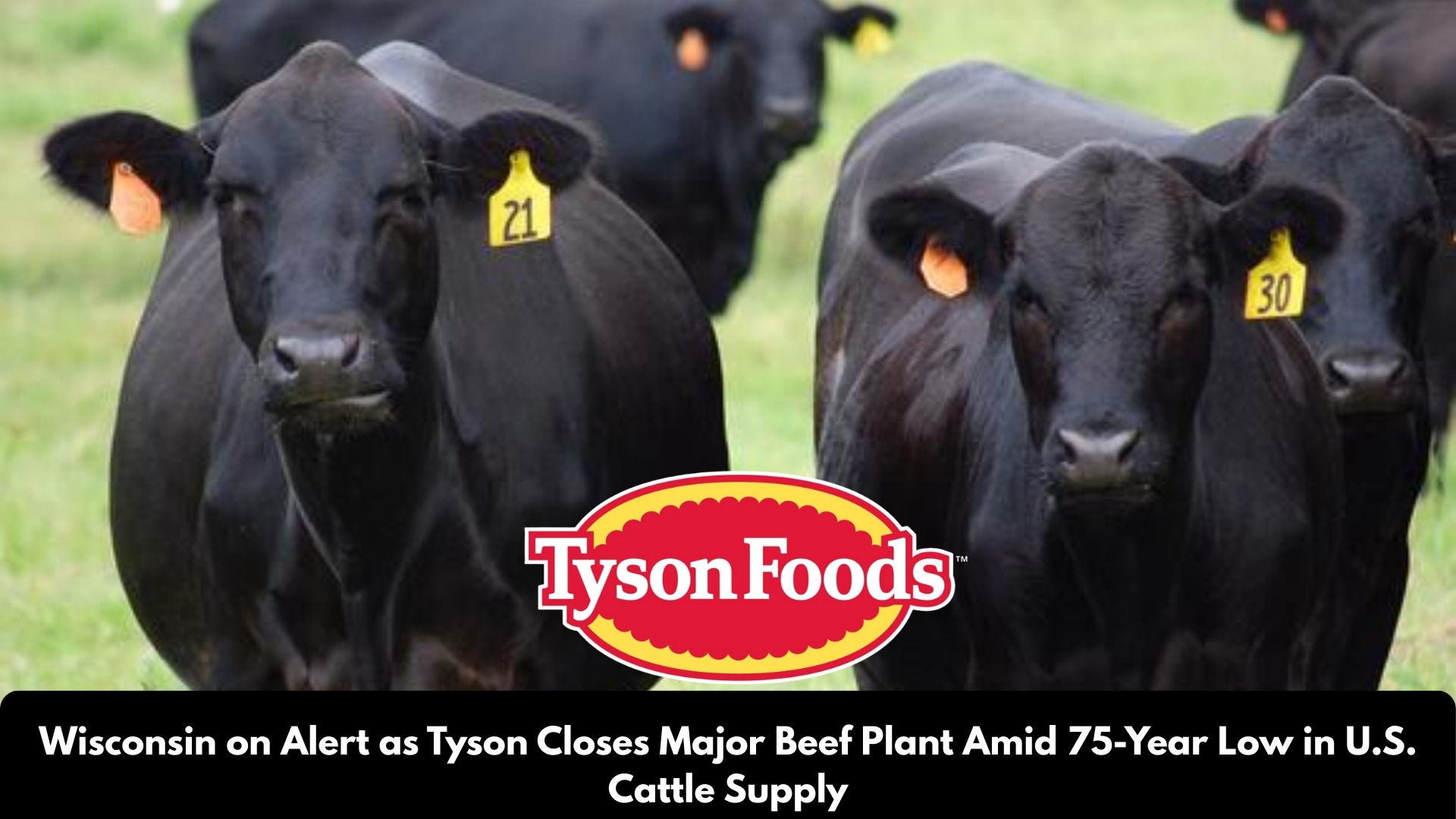 Wisconsin on Alert as Tyson Closes Major Beef Plant Amid 75-Year Low in U.S. Cattle Supply